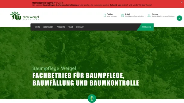 Website Screenshot: Nico Weigel Baum und Garten - Baumpflege & Gartenpflege in Tübingen & Großraum vom Profi - Date: 2023-06-20 10:41:22