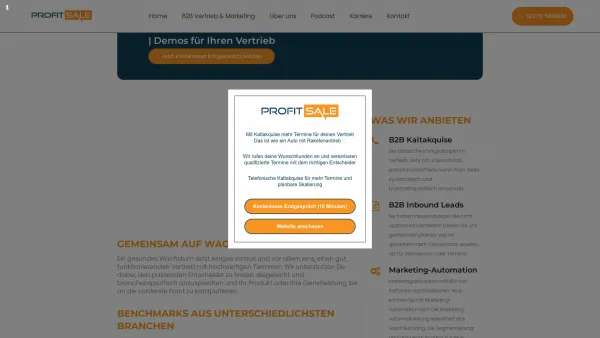 Website Screenshot: Profit Sale Vensen Mehra - Outbound Vertriebsagentur - B2B Kaltakquise - Mehr Termine für deinen Vertrieb - Date: 2023-06-20 10:41:33