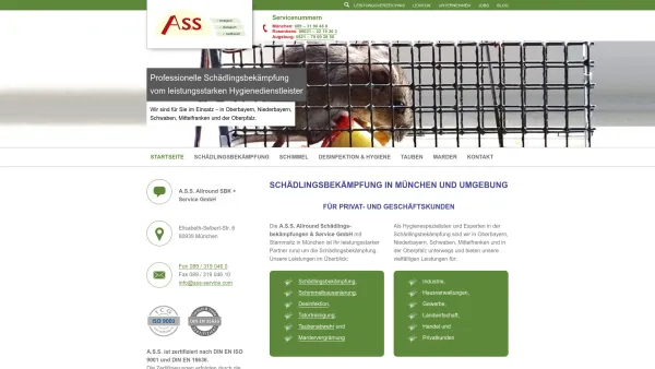 Website Screenshot: A.S.S. Allround Schädlingsbekämpfungen + Service GmbH - A.S.S. Schädlingsbekämpfung | Ihr erfahrener Kammerjäger vor Ort - Date: 2023-06-20 10:41:48
