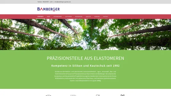 Website Screenshot: Bamberger Präzisionsteile aus Elastomeren - Bamberger Gummi - Präzisionsteile aus Silikon und Kautschuk - Date: 2023-06-16 10:11:10