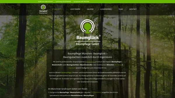 Website Screenshot: Baumglück Baumpflege GmbH - Baumpflege München - Baumglück Baumpflege GmbH - Date: 2023-06-20 10:41:51