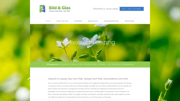 Website Screenshot: Bild und Glas Vertrieb und Montage GmbH -  Service nach Maß - Glaserei in Leipzig: Glas nach Maß und Spiegel nach Maß - Date: 2023-06-16 10:11:20