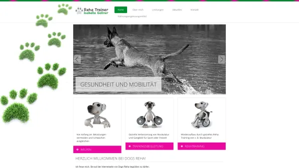 Website Screenshot: Dogs Reha Reha Training für Hunde - Hundephysiotherapie Salzburg Bad Reichenhall - Dogs Reha Training - Date: 2023-06-16 10:11:52