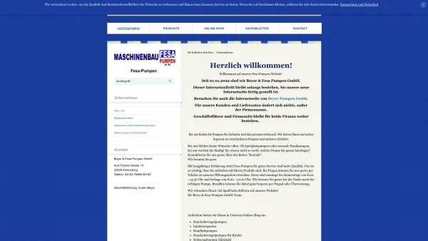 Website Screenshot: André Meyer FESA Pumpen - fesa-pumpen.de - Hersteller von Spielplatz- und Handschwengelpumpen‎ - Date: 2023-06-16 10:12:08