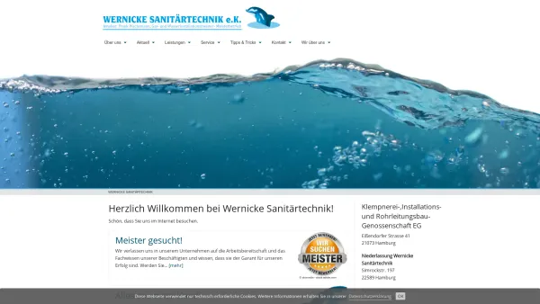 Website Screenshot: Wernicke Sanitärtechnik e.K.-Inh. Frank Wachsmann - Wernicke Sanitärtechnik - Wernicke Sanitärtechnik e.K - Date: 2023-06-20 10:37:50