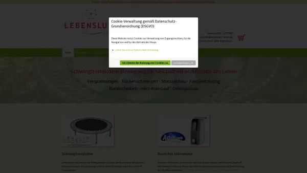 Website Screenshot: Lebenslust-Lösungen für Freude am Leben - Home - Lebenslust: Trampoline & Gesundheit in Nürnberg - Date: 2023-06-20 10:38:28