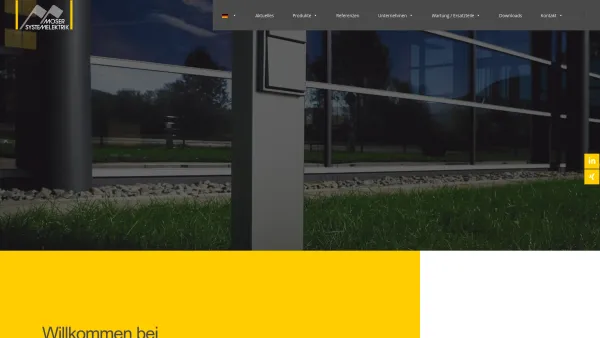 Website Screenshot: Moser Systemelektrik - Moser Systemelektrik GmbH - Date: 2023-06-20 10:38:52