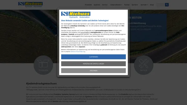 Website Screenshot: Th. Niehues GmbH Hydraulik-Automation -  Wir Regeln, Steuern und Bewegen - Niehues – Hydraulik · Automation | Mit uns bleibt alles in Bewegung - Date: 2023-06-20 10:39:05