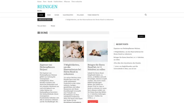 Website Screenshot: Putztfrau und Baureinigen Berlin Machowiak GmbH - Reinigen – Berlin - Date: 2023-06-20 10:39:57