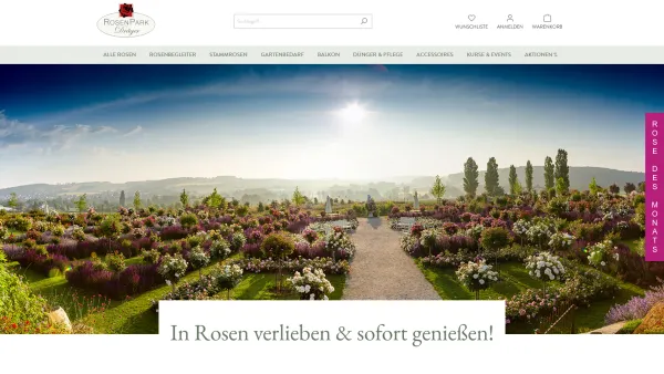Website Screenshot: Steinfurther Rosen Goenewein Online Shop - Rosen online kaufen | RosenPark Dräger - Steinfurther Rosen - Date: 2023-06-20 10:40:07