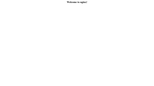 Website Screenshot: SYNET SOLUTION GmbH & Co. KG - Welcome to nginx! - Date: 2023-06-20 10:40:37