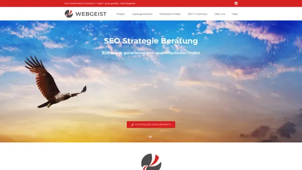 Website Screenshot: Webgeist B2B Marketingagentur - SEO Strategie Beratung – Webgeist SEO Agentur - Date: 2023-06-20 10:42:34