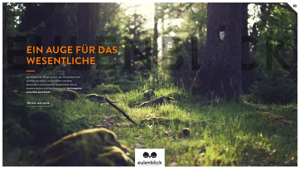 Website Screenshot: amadeo Marketing & Design - Werbeagentur Münster > ò,ó eulenblick - Date: 2023-06-20 10:41:00