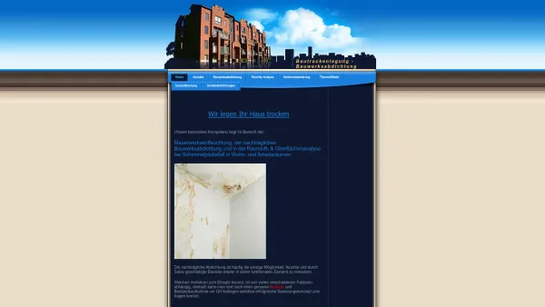 Website Screenshot: Bautrockenlegung König - Home - Bautrockenlegung - Bauwerksabdichtungen - Date: 2023-06-16 10:11:13
