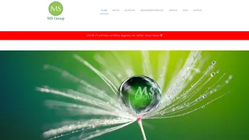 Website Screenshot: MS GROUP - MS Group - Container Management - Berlin - MS Gebäudereinigung Meisterbetrieb - Date: 2023-06-20 10:41:31