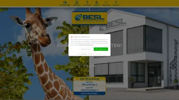 Website Screenshot: AVS System Lift AG Besl GmbH -  Mieten Sie einen  Systemlift - Arbeitsbühnen & Hebebühnenverleih » BESL GmbH - Date: 2023-06-16 10:11:19